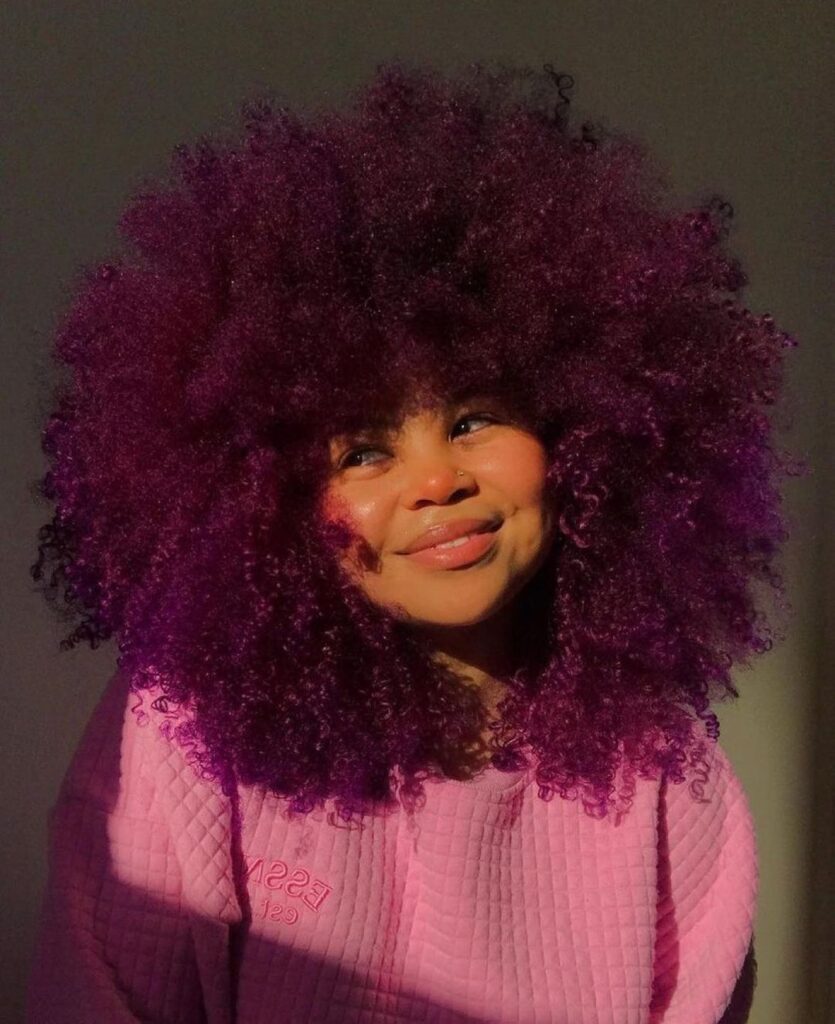 hairstyles for ladies afro