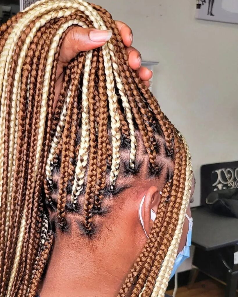 braided hairdo