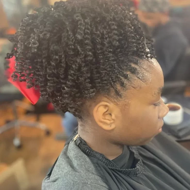 Kinky Twist Hairstyles