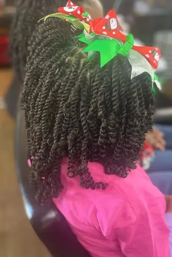 Kinky Twist braids