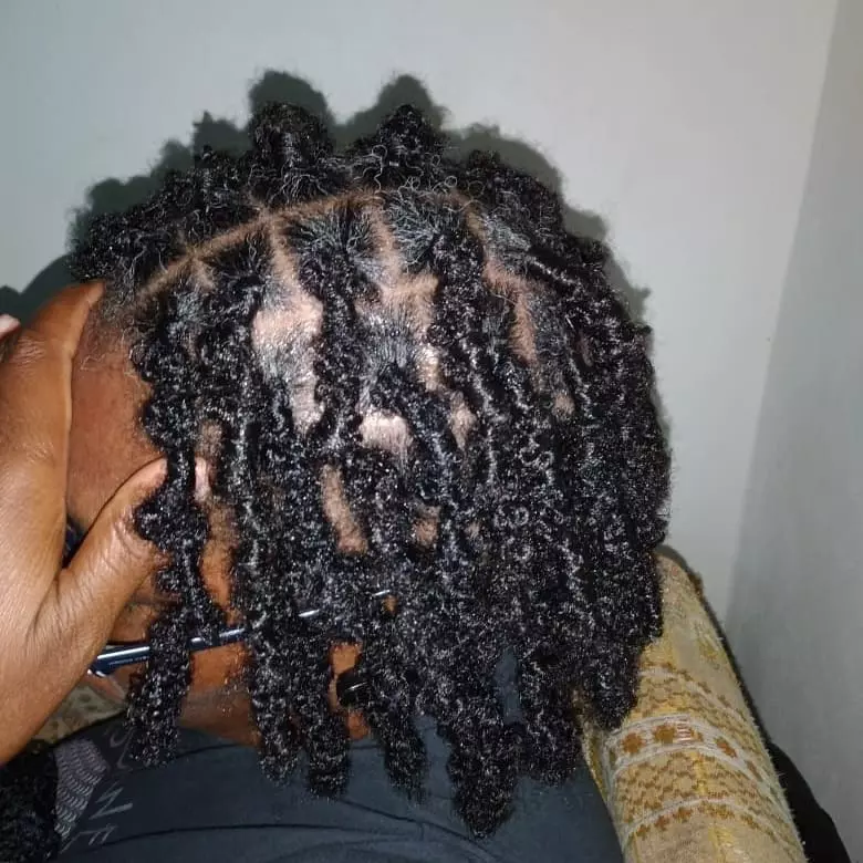 Short butterfly locs hairstyles