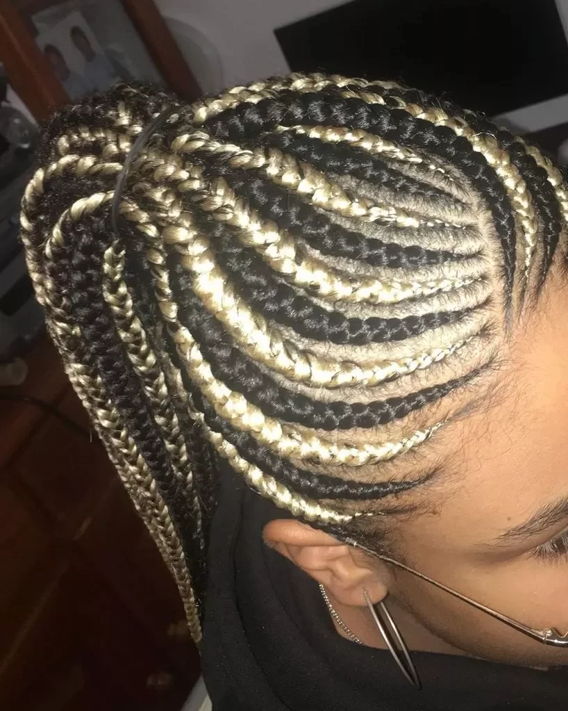 Colour Blending Braided Hairstyles For Ladies