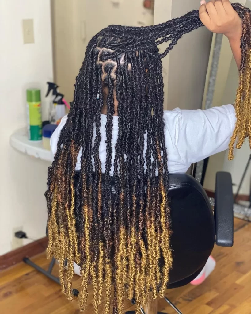 Ombre Rasta locs