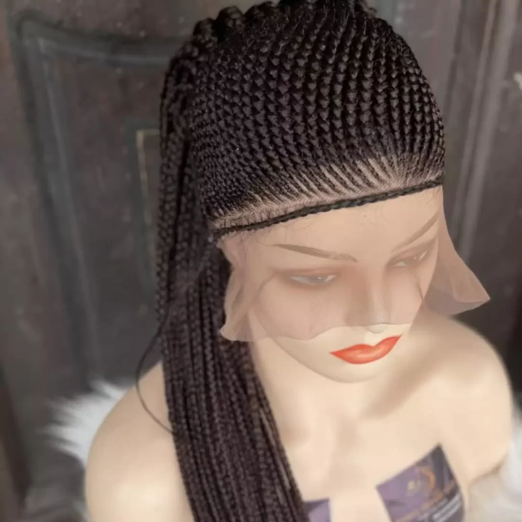Amazing Braided Wigs