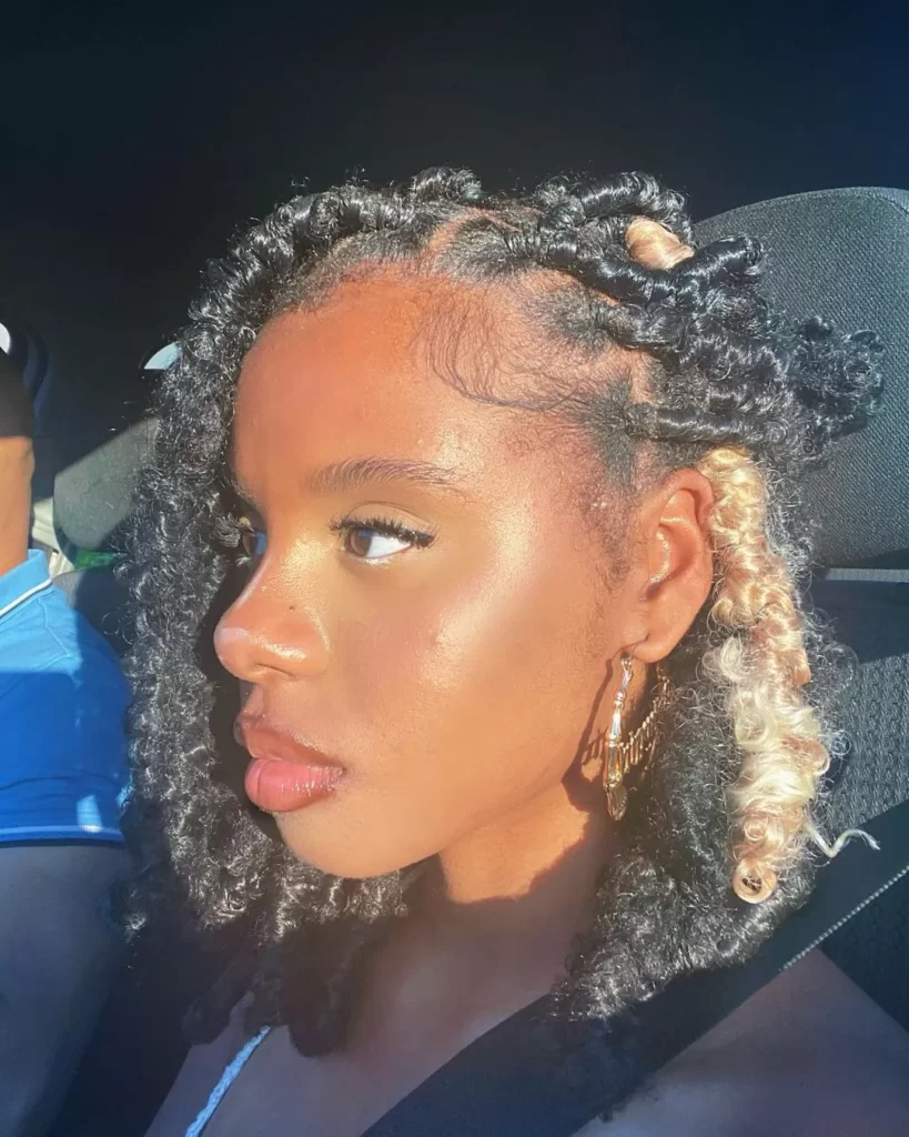 Butterfly locs hairstyles