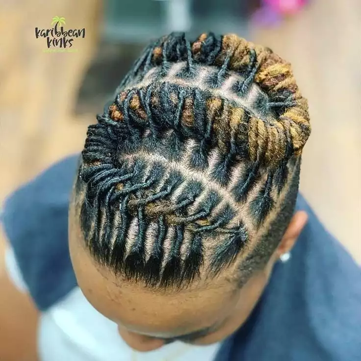 Wavy dreadlocks
