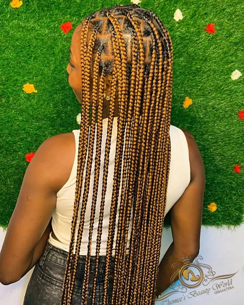 Box Braids Hairstyles