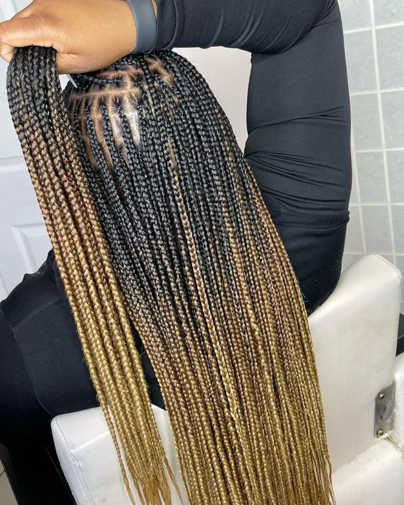 Knotless Braids for Women