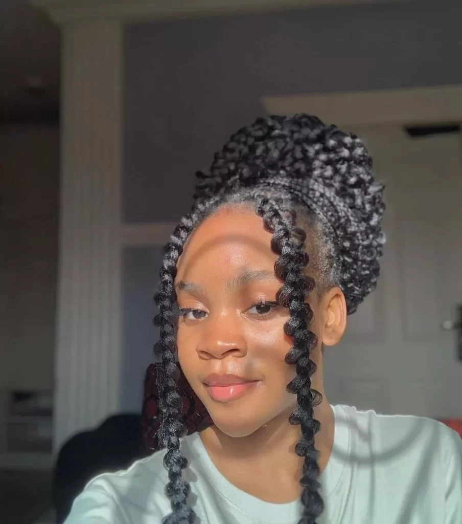 Box Braids Hairstyles