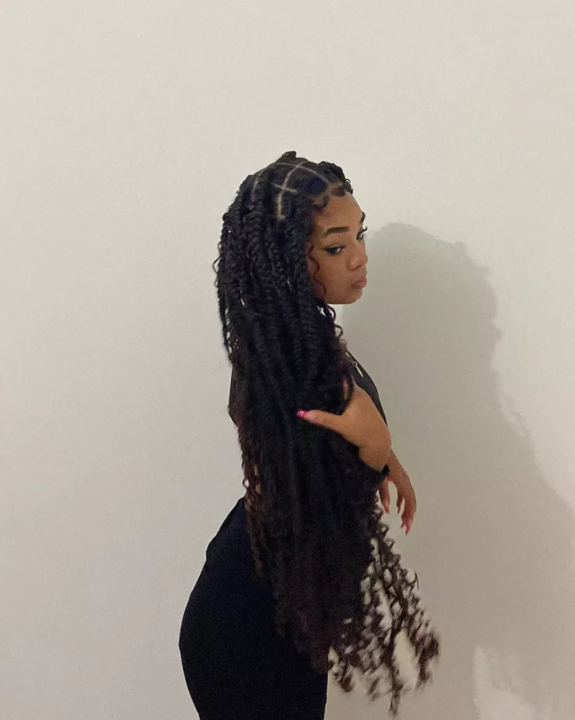 Box Braids Hairstyles