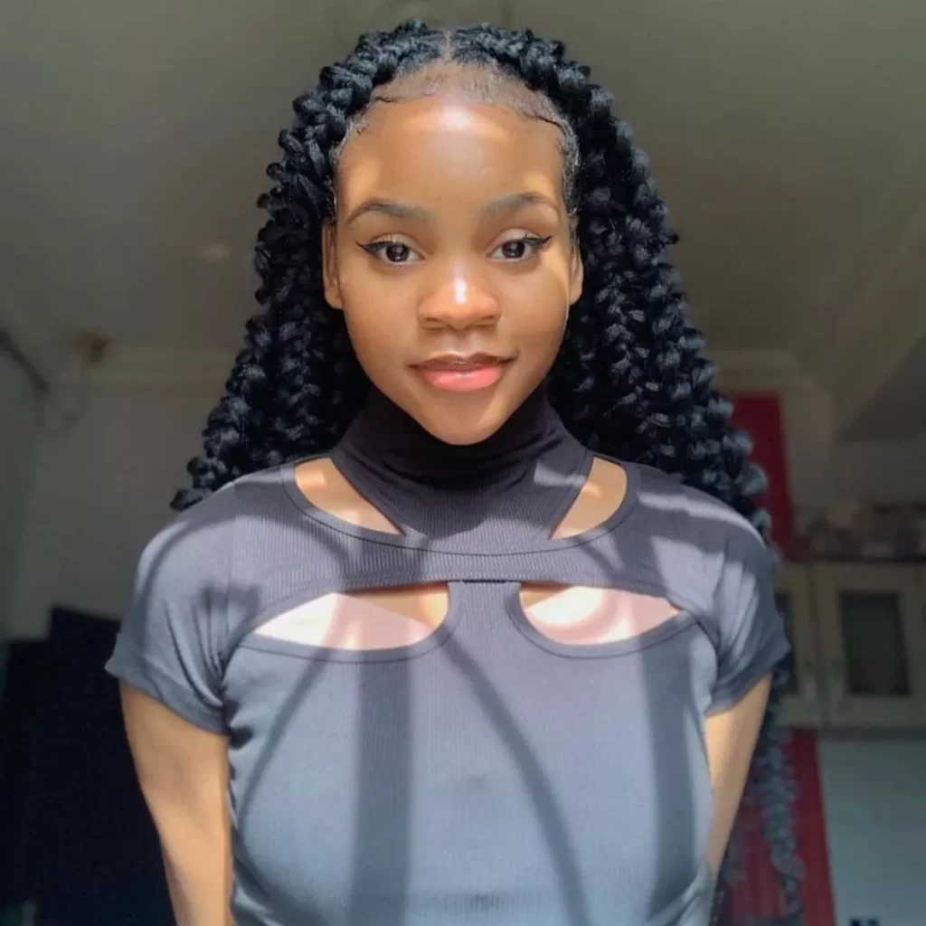 Box Braids Hairstyles