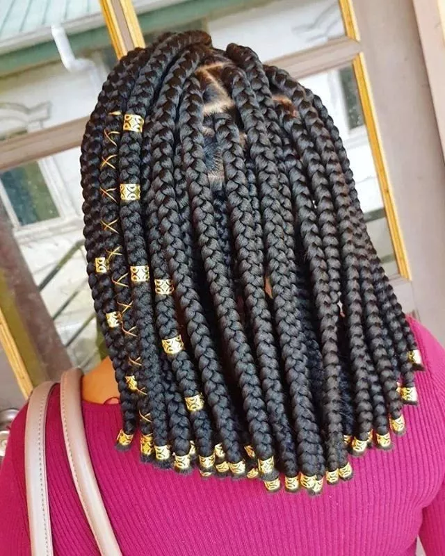 Box Braids Hairstyles
