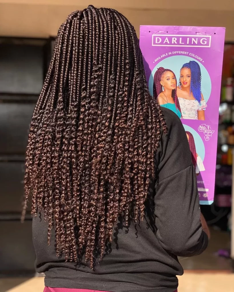 African Hair Braiding Styles For Women