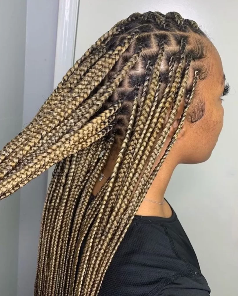 African Hair Braiding Styles For Women