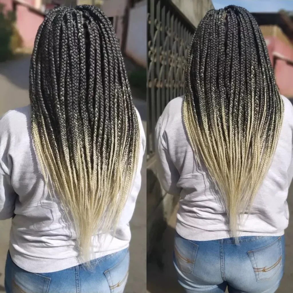 Ombre Box Braids Ideas