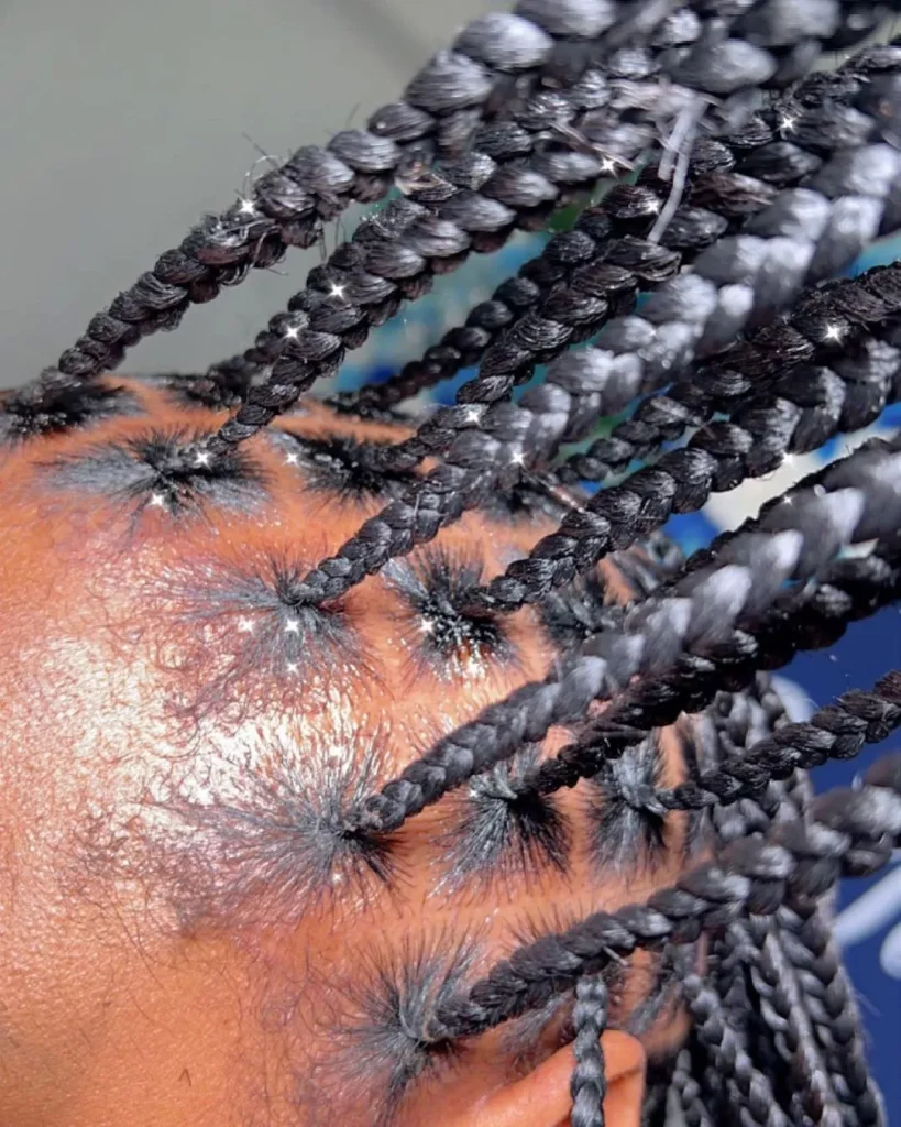 Box Braids Styles