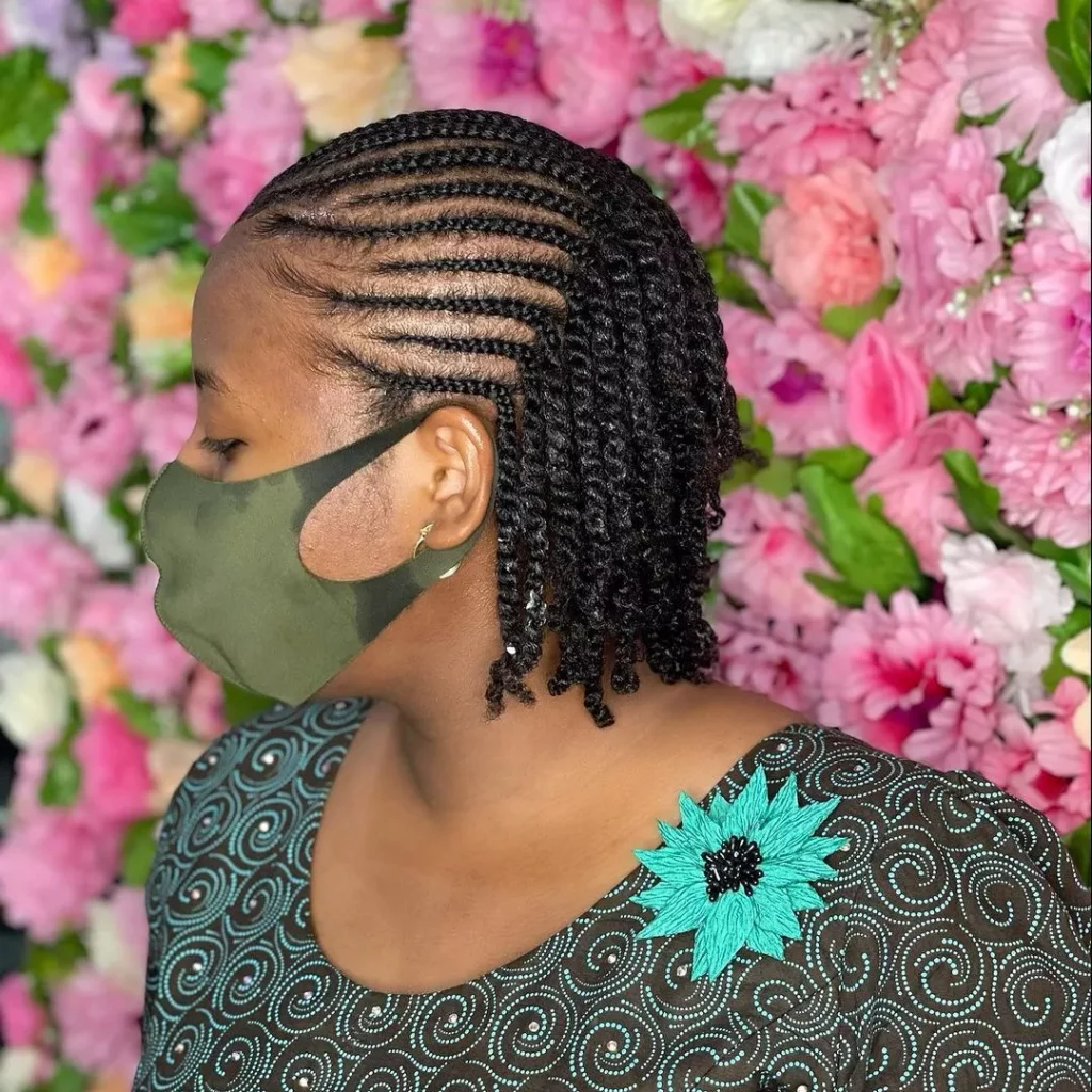 Natural Hair Braids without extension
