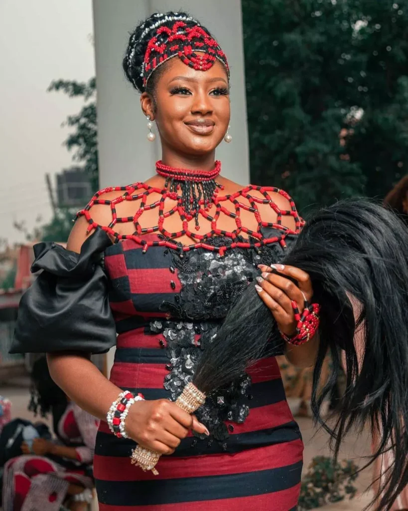 Idoma Apa