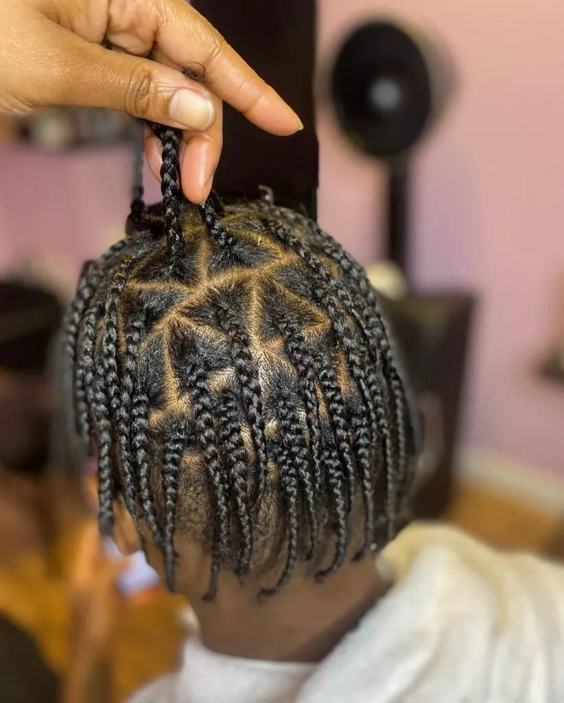 Natural Hair Braids Styles