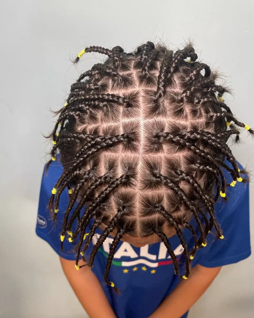 Natural Hair Braids For Black women