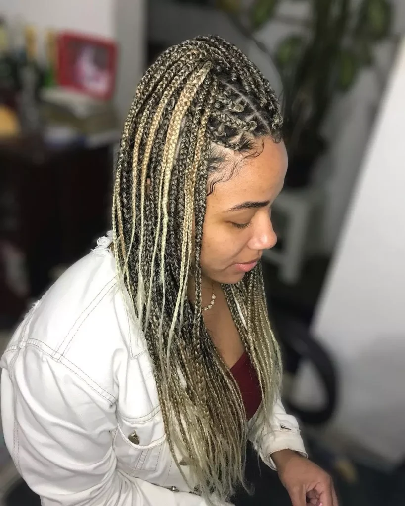 Ombre Box Braids Ideas