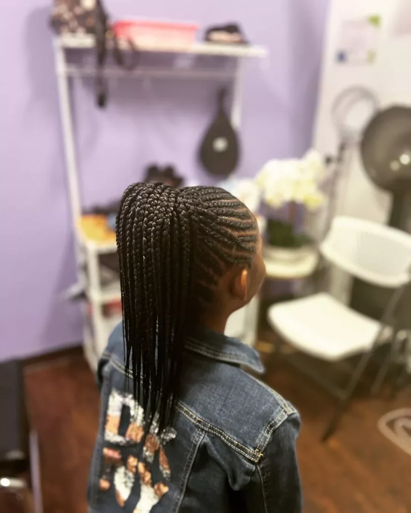 Natural Hair Braids For Black people