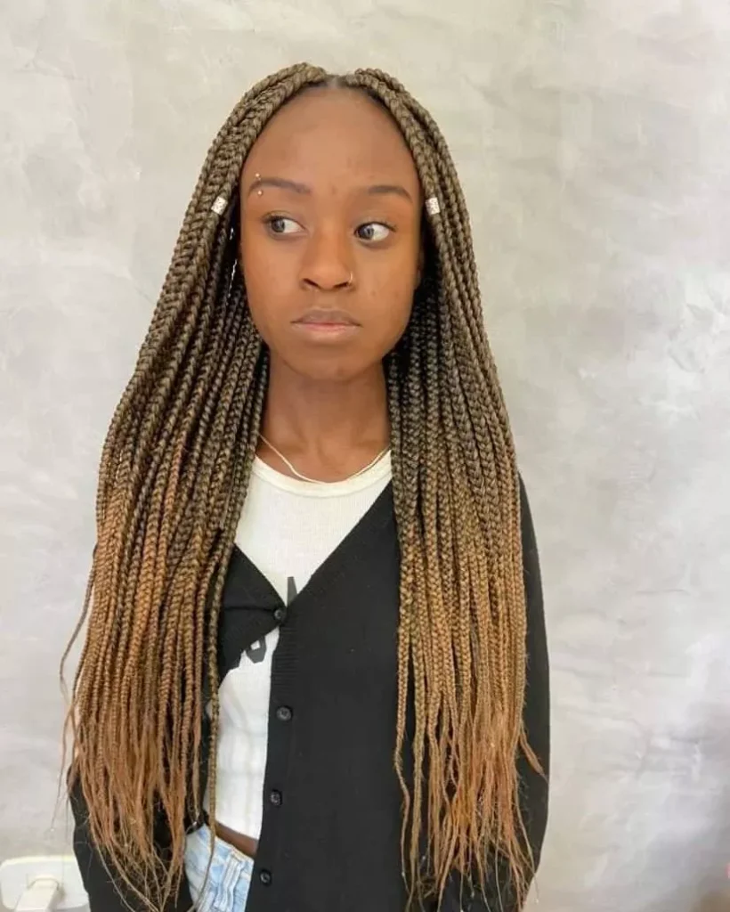 Ombre Box Braids Ideas