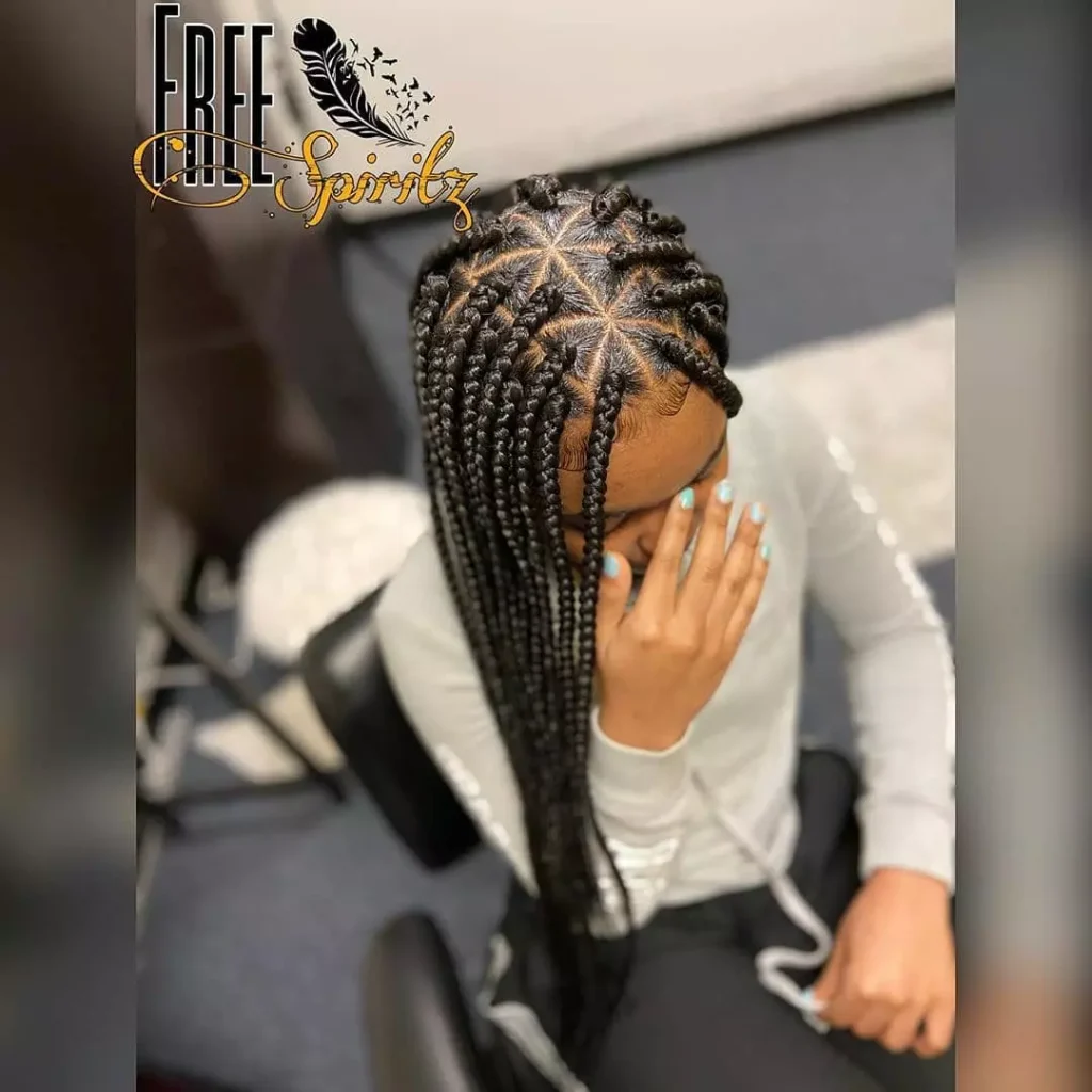 Box Braids Hairstyles
