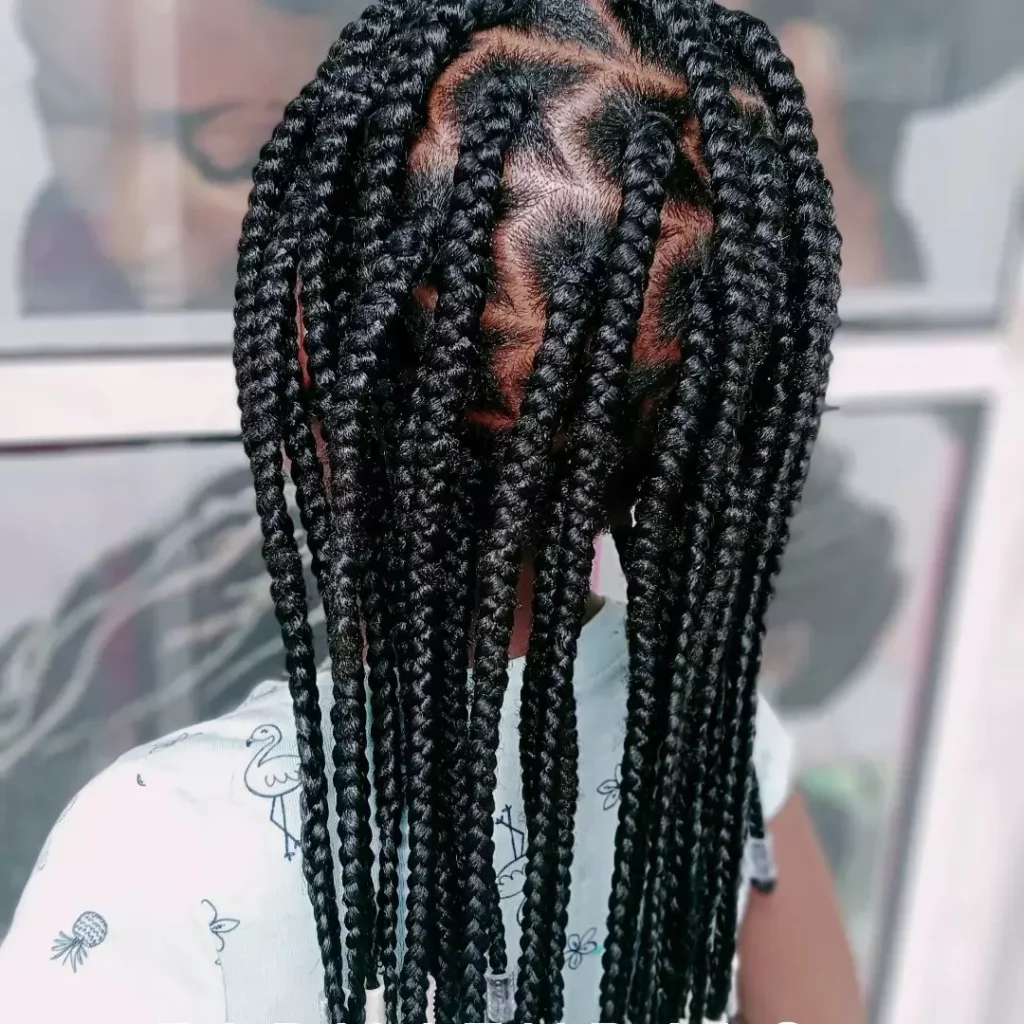 Box Braids Hairstyles