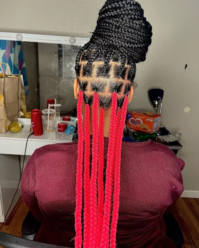 Ombre Box Braids Ideas
