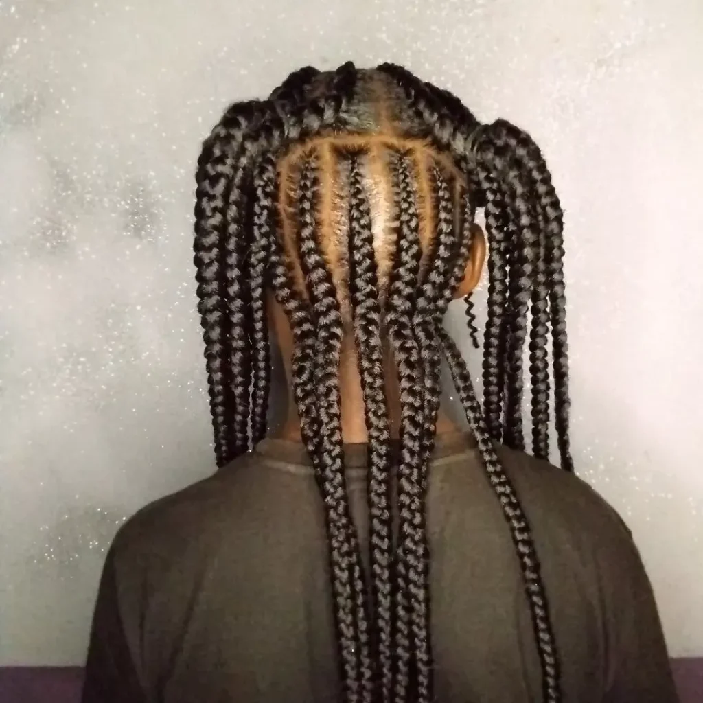 Fulani tribal braids