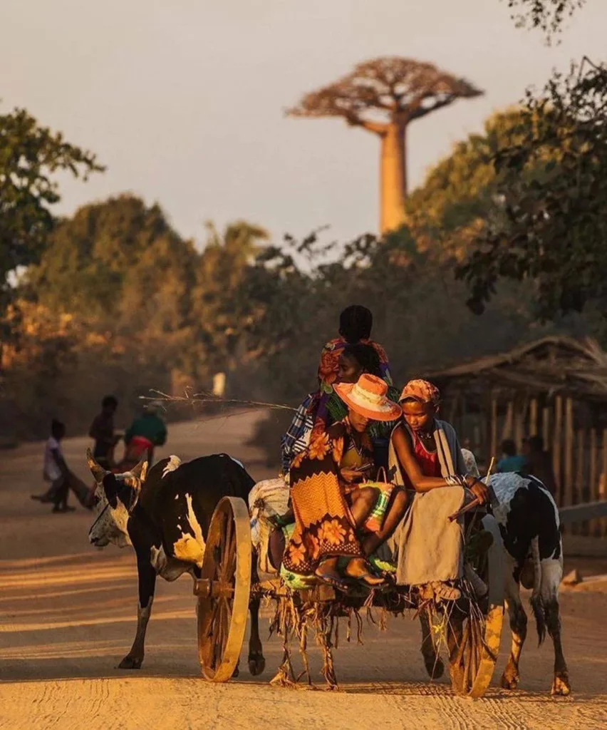 Lamba Mpanjaka