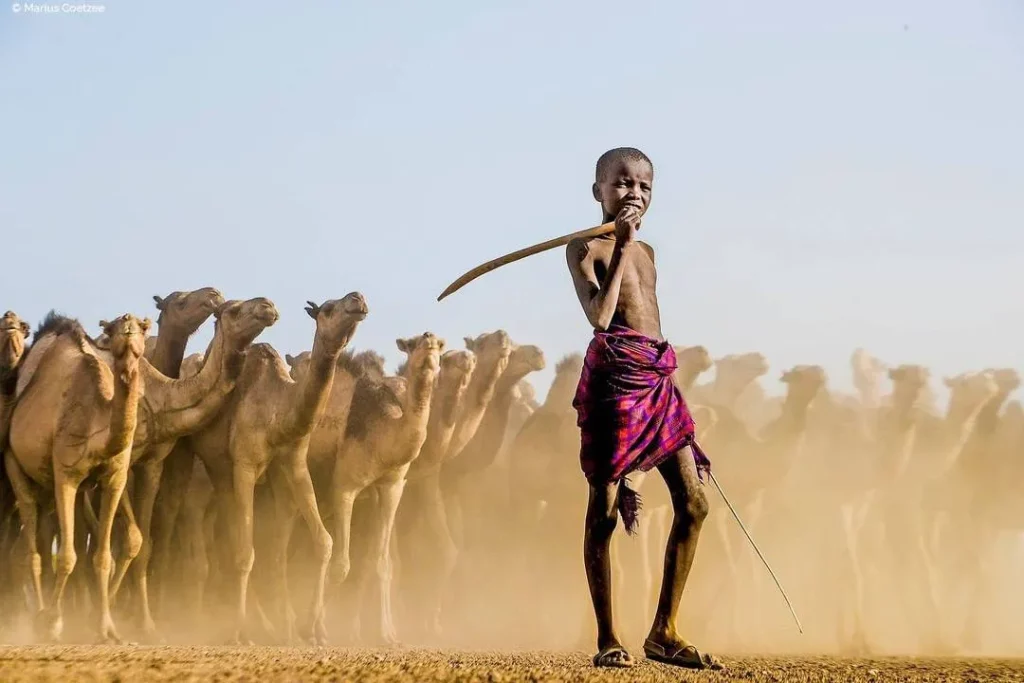 Culture of herdsmen and camels in Turkana
