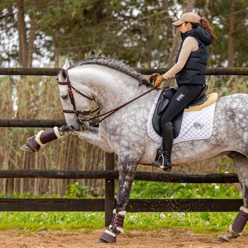 Cow Girl Style Tips 