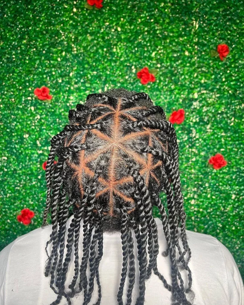 Jumbo Twist Styles for Men with Long Hair
