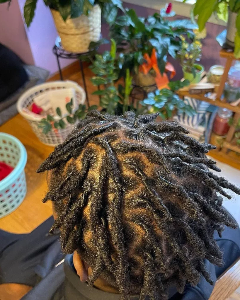 Men's Faux Locs with Extensions