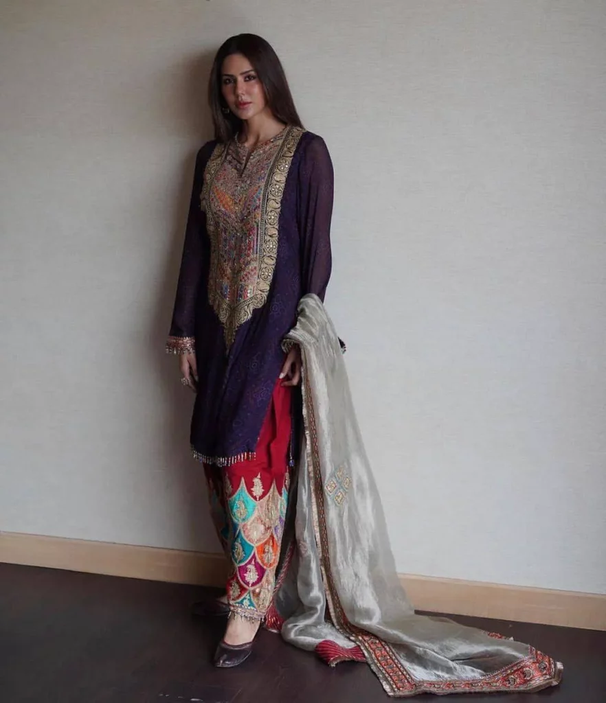 Punjabi Suits for ladies Punjabi Suits for ladies
