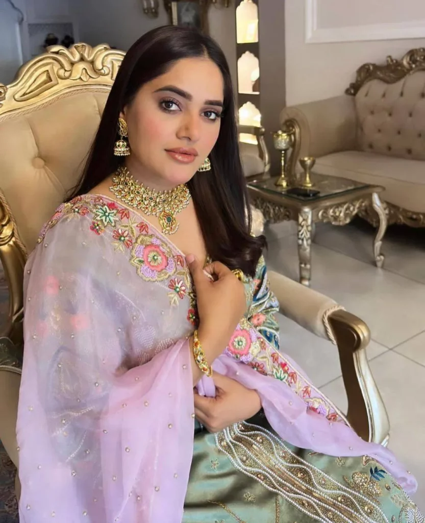 Punjabi Suit Design for wedding Punjabi Suit Design for wedding