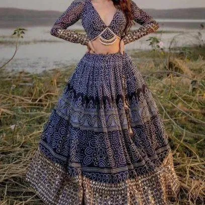 Indian Lehenga Designs What is the name of choli dress?