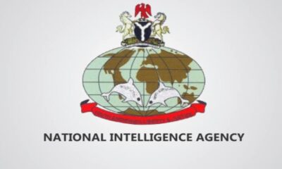 NIA Salary Structure