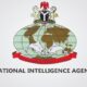 NIA Salary Structure