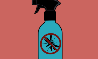 Best Insecticide Brands in Nigeria