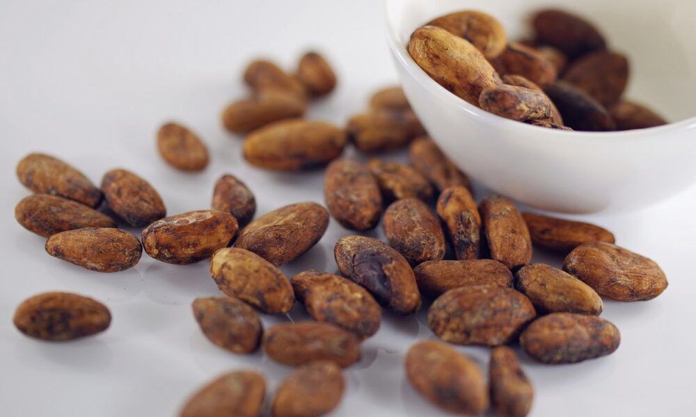Prices of Cocoa In Nigeria