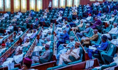 JUST IN: Reps Pass Bill Mandating Portfolios For Ministerial Nominees