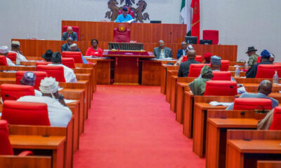 Senate Passes Bill To Increase CBN Ways And Means Loans To FG