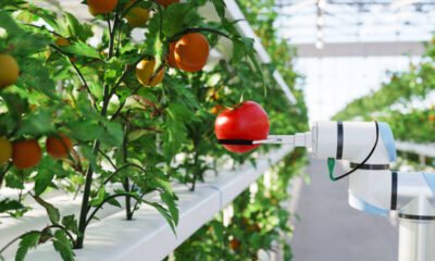 Agritech Companies in Nigeria