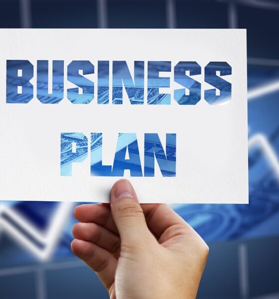 Write a Business Plan