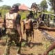 'We Are Suffering, No Medication' - Nigerian Soldiers In North West Cry Out