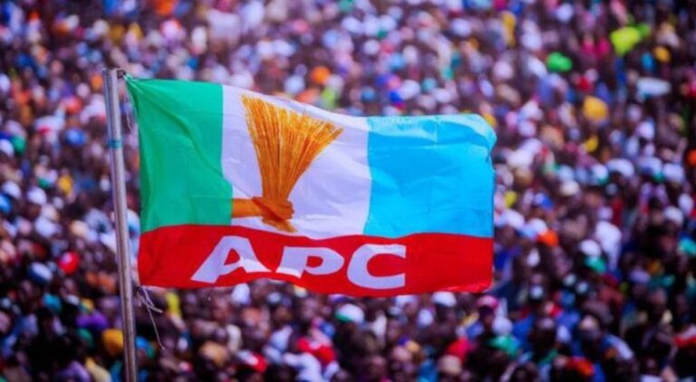APC Flag