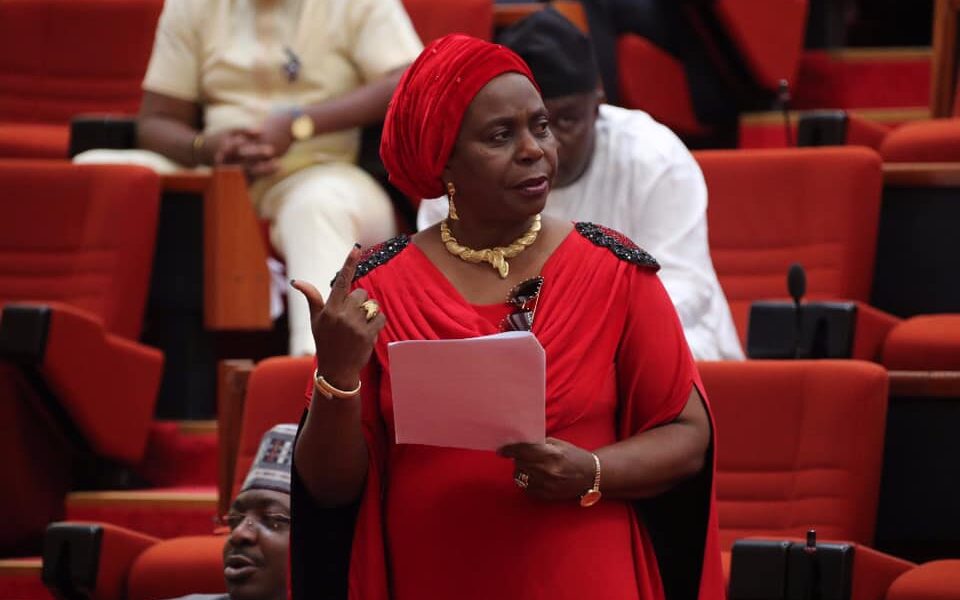 Defeating Tinubu In 2027 Will Be Herculean – Senator Olujimi